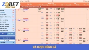 Cá Cược Bóng Đá Z8bet