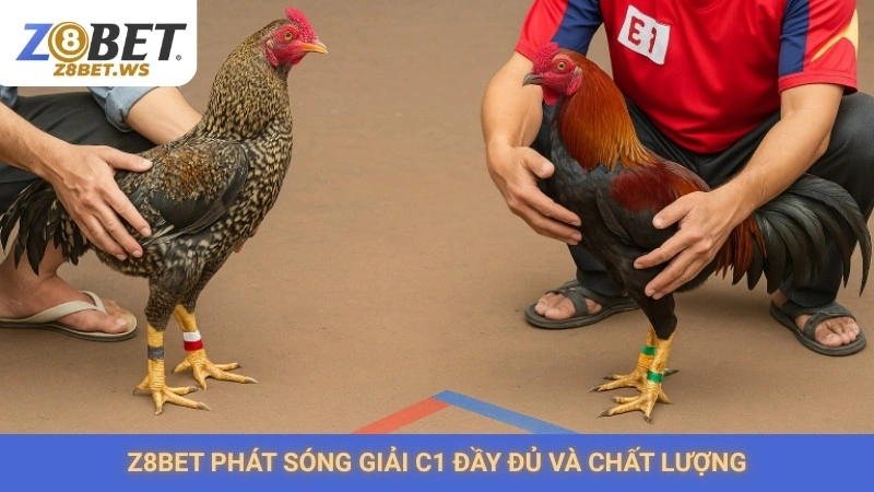 Xem đá gà C1 trực tiếp Z8bet | Giải đấu gà kinh điển nhất 2 Z8bet phát sóng giải C1 đầy đủ và chất lượng